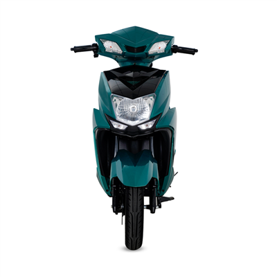 Elektriskt litiumjoncykelbatteri med laddare